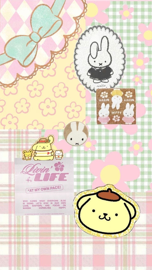 PomPom x Miffy